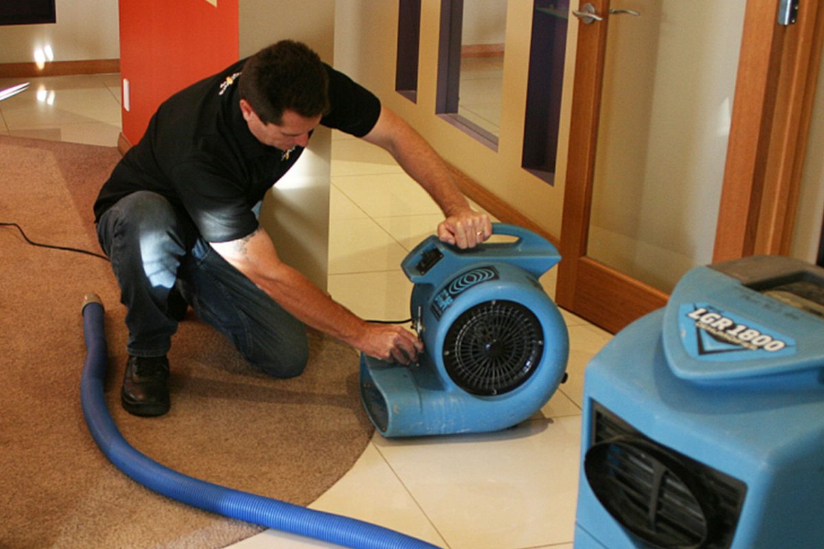 Carpet Cleaning image